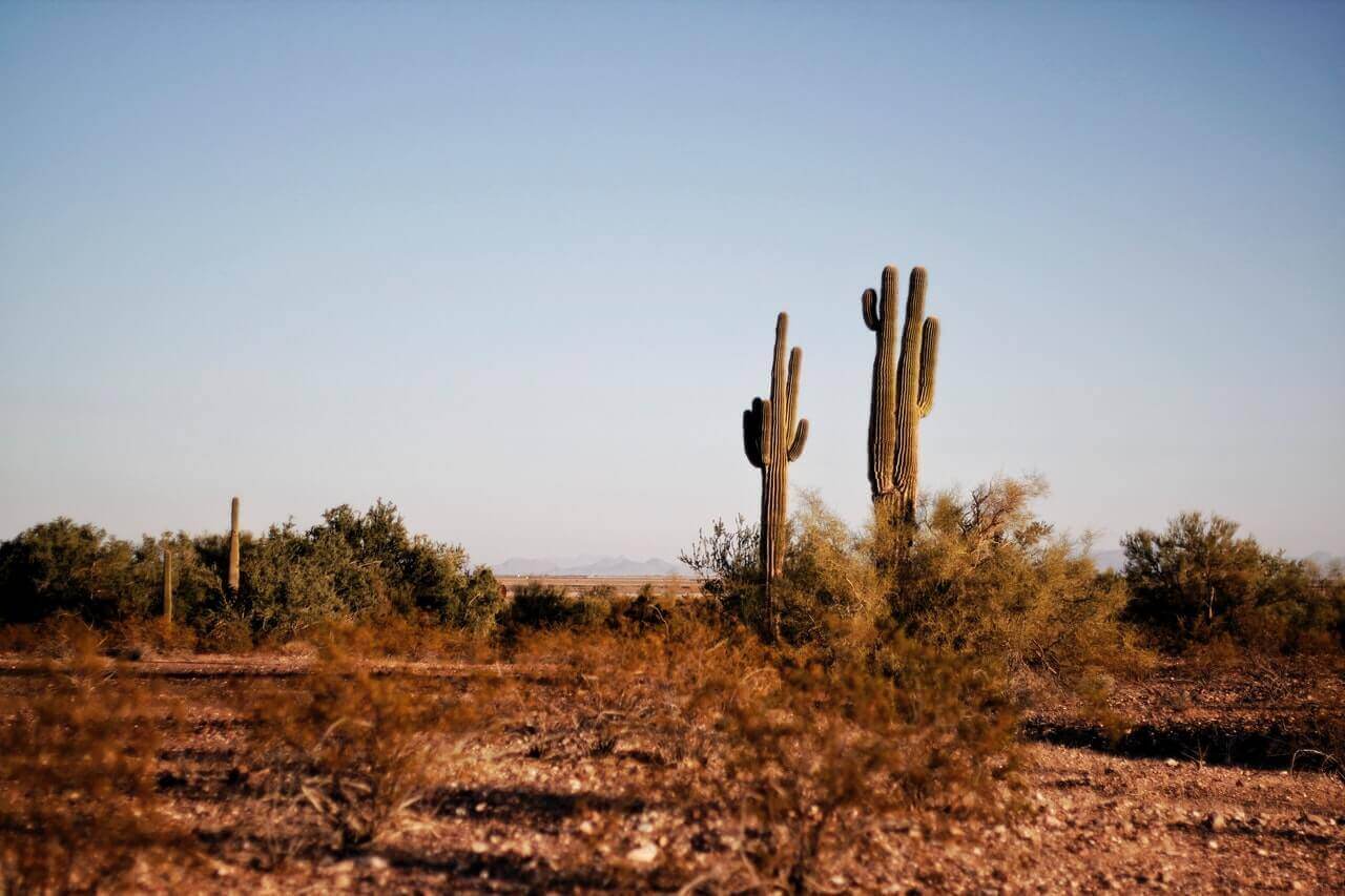 arizona desert