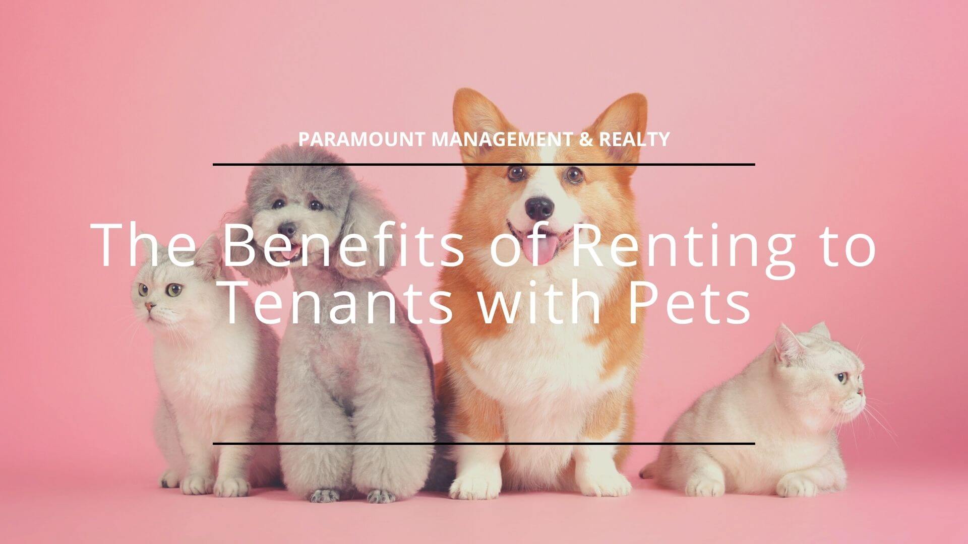 the benefits of renting to tenants with pets