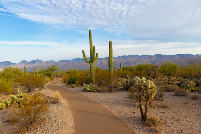 national parks near tucson arizona